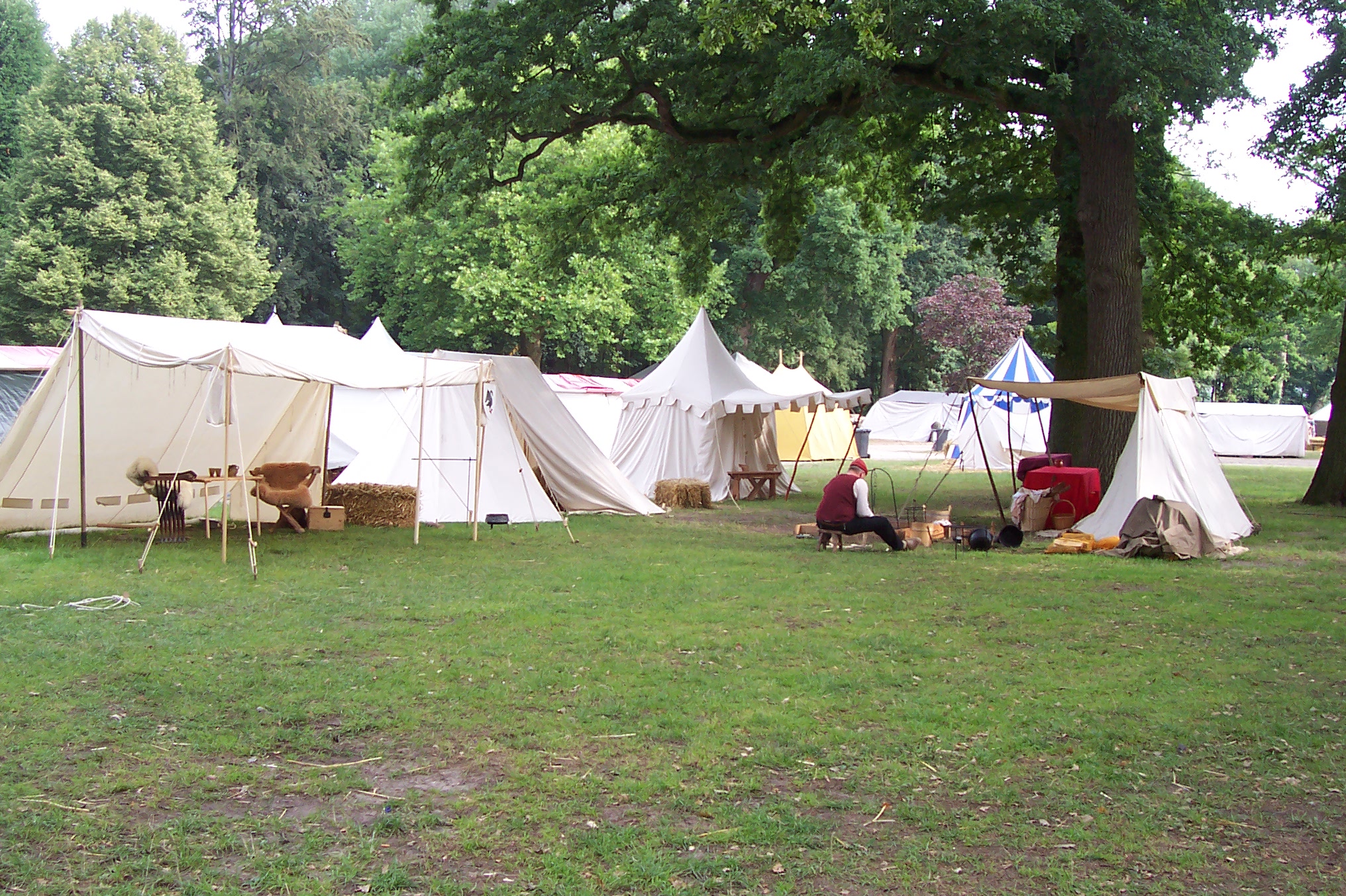 Cees Heijdel - fotoboek/59_De Zwarte Zwaan.JPG
